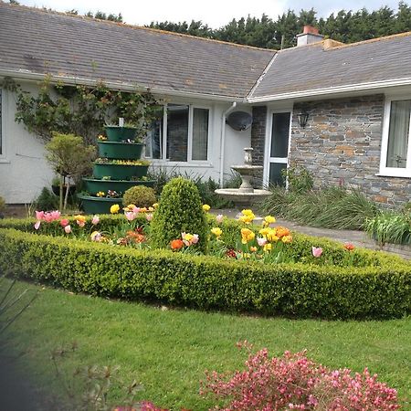 Bed and Breakfast Estuary View Farm Kingsbridge  Exteriér fotografie