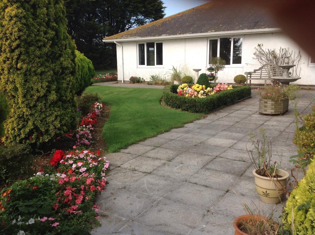 Bed and Breakfast Estuary View Farm Kingsbridge  Exteriér fotografie