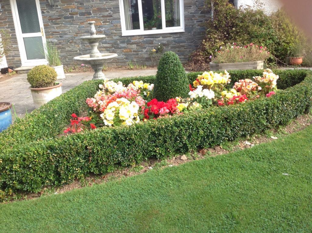 Bed and Breakfast Estuary View Farm Kingsbridge  Pokoj fotografie