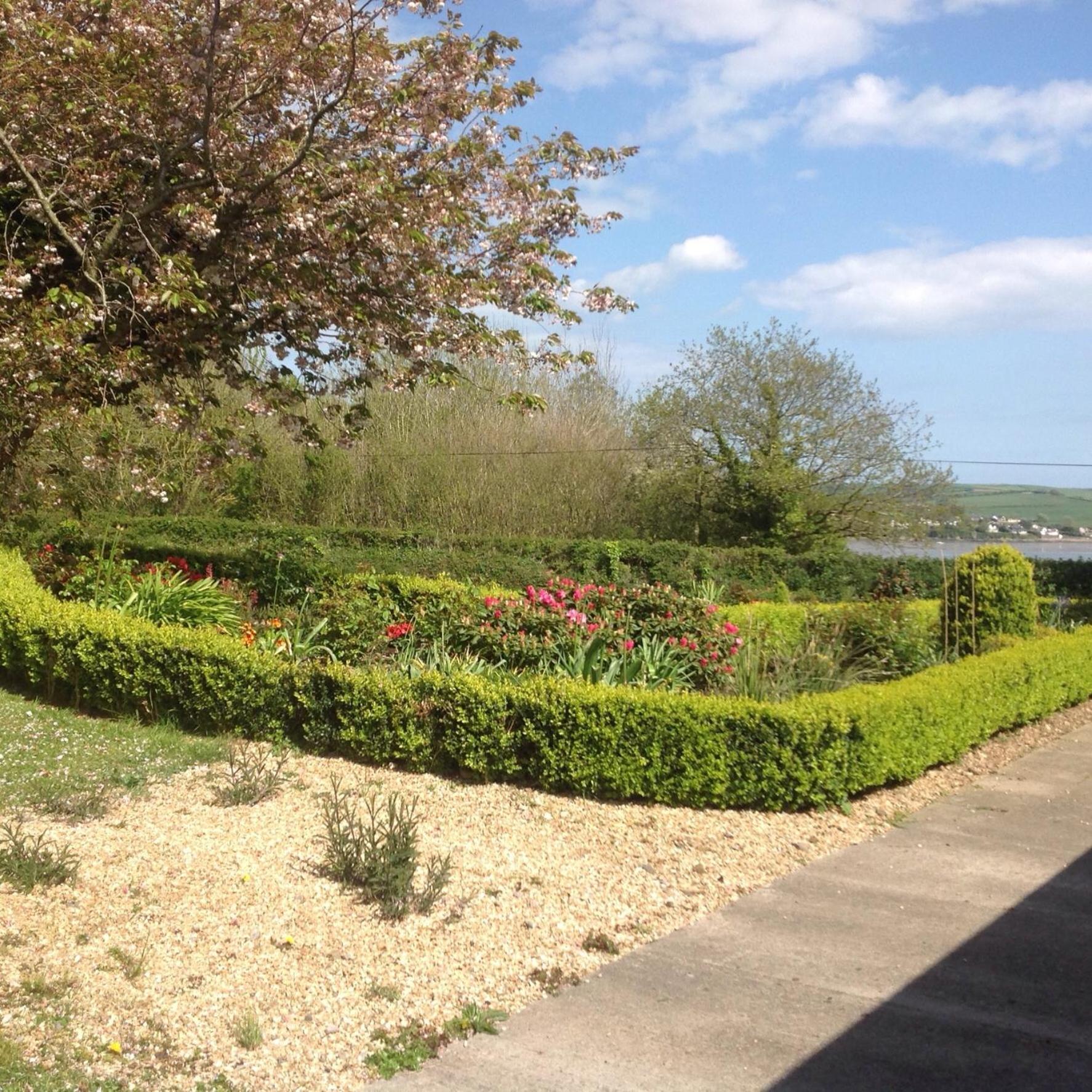 Bed and Breakfast Estuary View Farm Kingsbridge  Exteriér fotografie