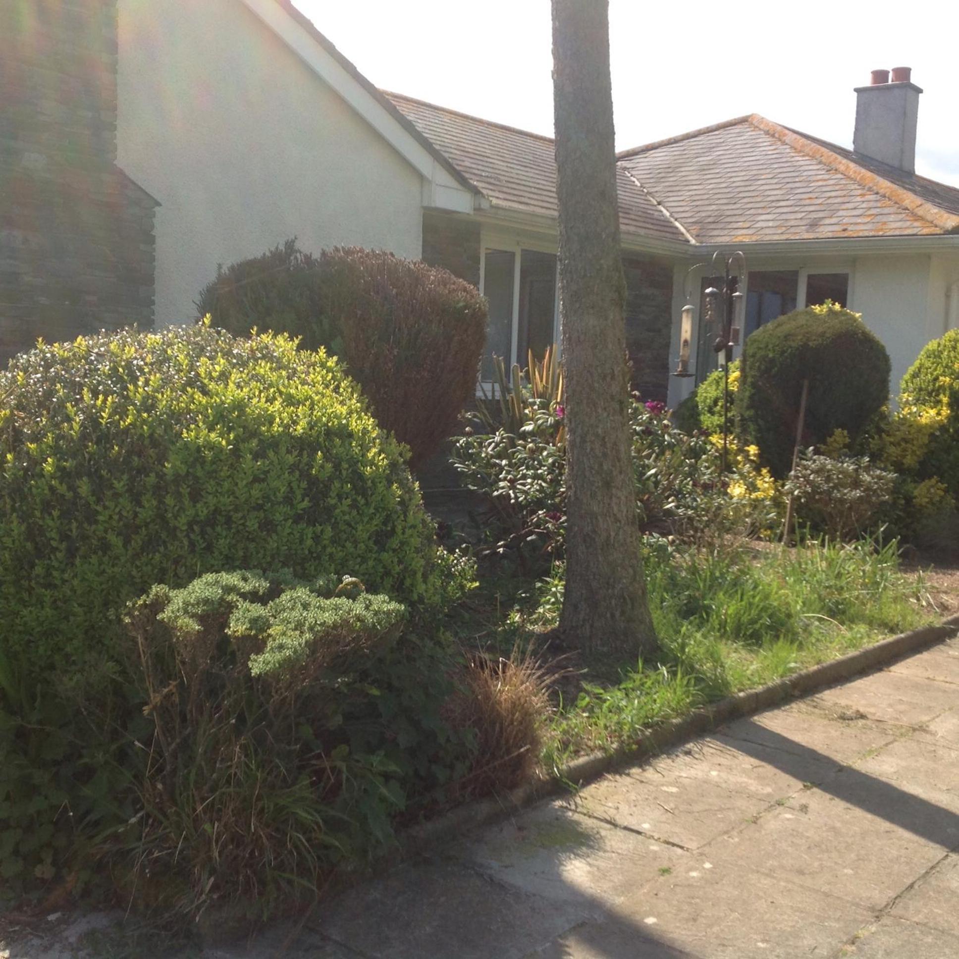 Bed and Breakfast Estuary View Farm Kingsbridge  Exteriér fotografie