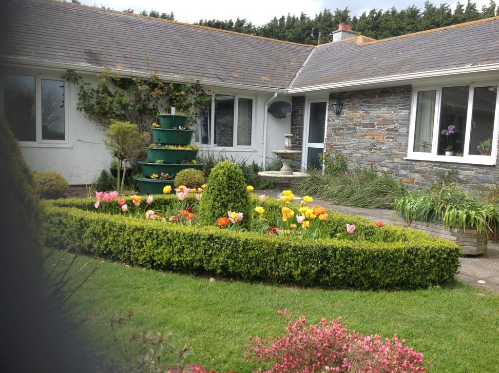 Bed and Breakfast Estuary View Farm Kingsbridge  Exteriér fotografie